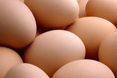 PerfectTok® Nep eieren - Broedeieren - Nep ei - Kalkeieren - Kalk ei - 4 Stuks - Bruin
