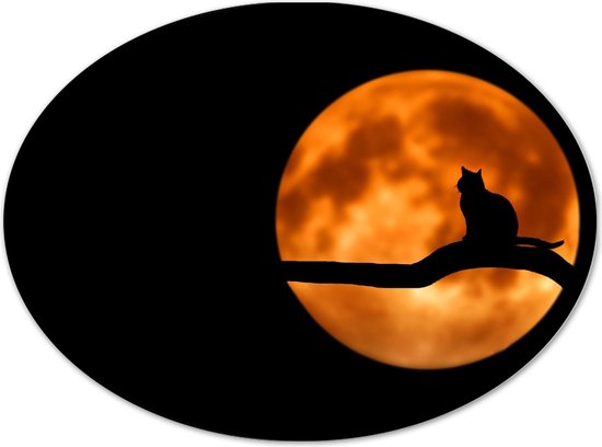 Dibond Ovaal - Silhouet van Kat op Tak voor Oranjekleurige Maan in Donkere Nacht - 28x21 cm Foto op Ovaal (Met Ophangsysteem)
