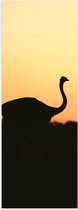 Poster (Mat) - Silhouet van Struisvogel bij Bossen tijdens Zonsondergang - 30x90 cm Foto op Posterpapier met een Matte look