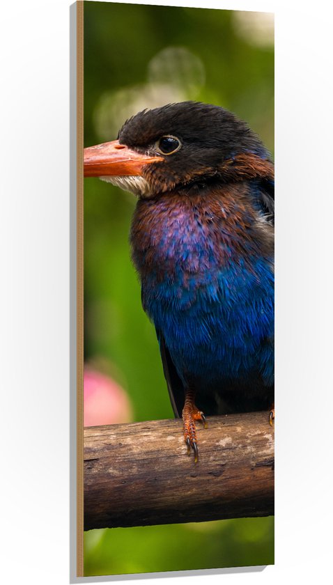 Hout - IJsvogel met Blauwe en Paarse Borst Zittend op Boomstam - 50x150 cm - 9 mm dik - Foto op Hout (Met Ophangsysteem)