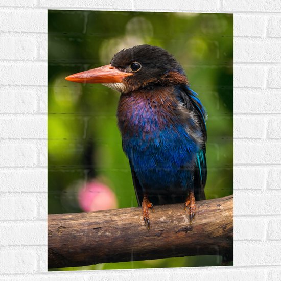 Muursticker - IJsvogel met Blauwe en Paarse Borst Zittend op Boomstam - 50x75 cm Foto op Muursticker
