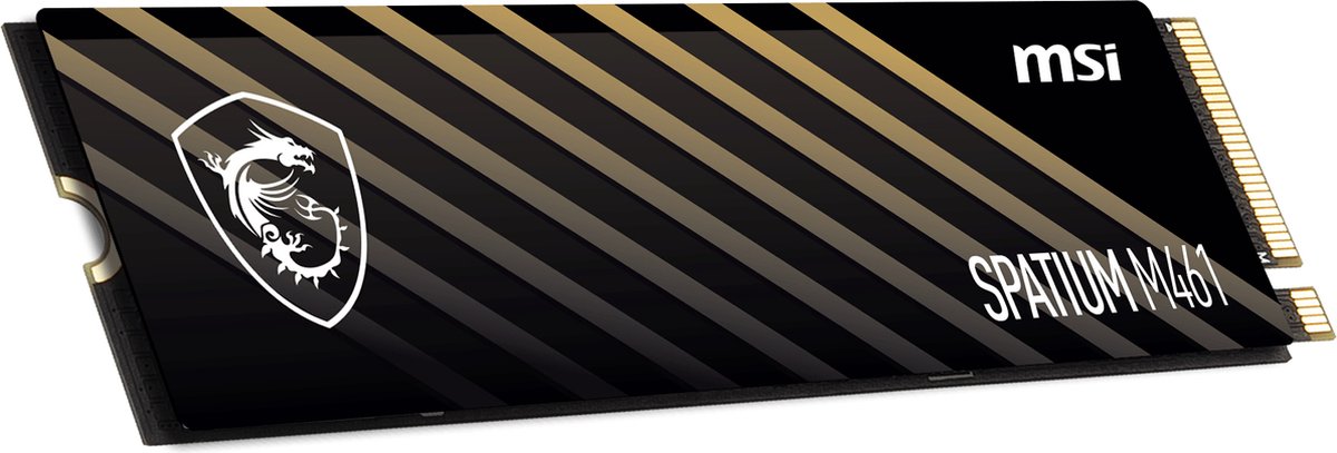 MSI SPATIUM M461 - 1 TB