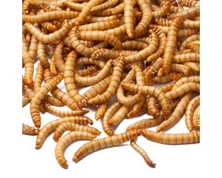 The bird family® - Meelwormen gedroogd 5 kg - Premium kwaliteit - vogelvoer