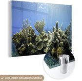 MuchoWow® Glasschilderij 60x40 cm - Schilderij acrylglas - Koraal in een heldere zee - Foto op glas - Schilderijen