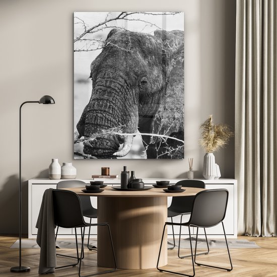 MuchoWow® Glasschilderij 90x120 cm - Schilderij acrylglas - Olifant - Dieren - Takken - Natuur - Zwart wit - Foto op glas - Schilderijen
