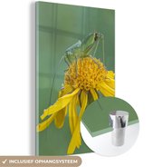 MuchoWow® Glasschilderij 100x150 cm - Schilderij acrylglas - Sprinkhaan op bloem - Foto op glas - Schilderijen