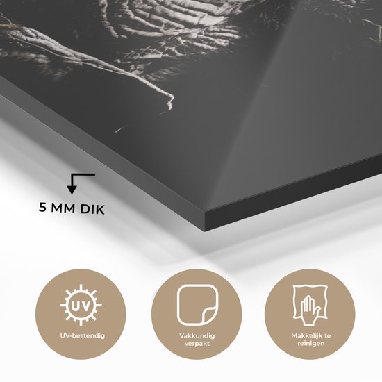 MuchoWow® Peinture sur verre 60x90 cm - Peinture sur verre acrylique - Éléphant - Zwart - Animaux - Nature - Photo sur verre - Peintures