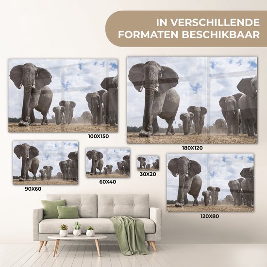 MuchoWow® Peinture sur verre 120x80 cm - Peinture sur verre acrylique - Éléphant - Animaux - Nature - Uni - Photo sur verre - Peintures
