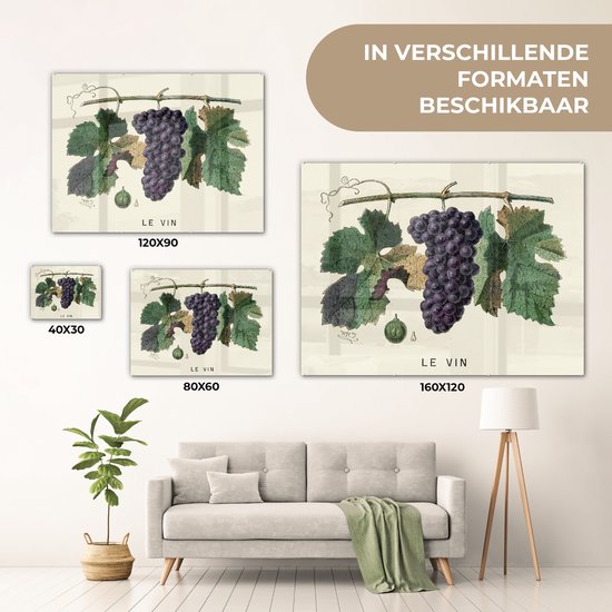 MuchoWow® Peinture sur Verre - Une Illustration de Raisins sur une Vigne - 80x60 cm - Peintures sur Verre Peintures - Photo sur Glas
