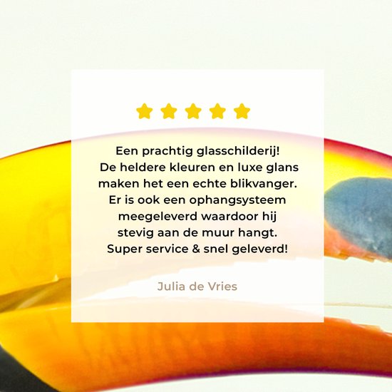Peinture sur verre - la tête d'un toucan - 180x120 cm - Peintures sur Verre Peintures - Photo sur Glas