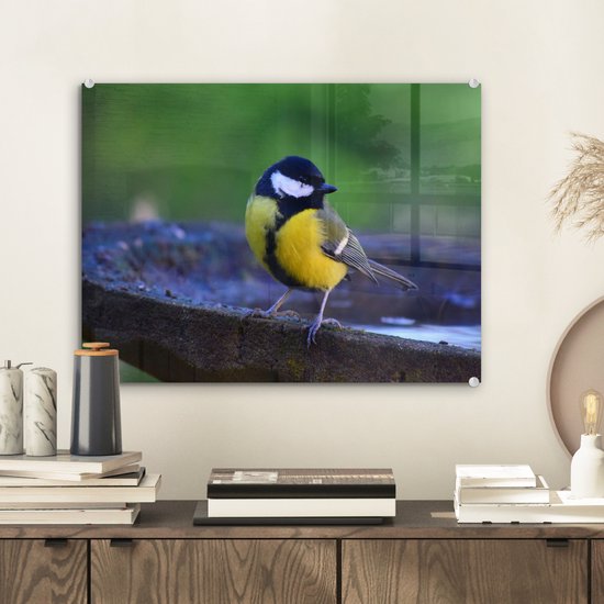 MuchoWow® Peinture sur verre 40x30 cm - Peinture sur verre acrylique - Mésange charbonnière sur un bain d'oiseaux en granit - Photo sur verre - Peintures