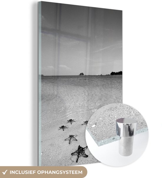MuchoWow® Glasschilderij 80x120 cm - Schilderij acrylglas - Zeven zeesterren liggen op een rij aan het tropische strand - zwart wit - Foto op glas - Schilderijen