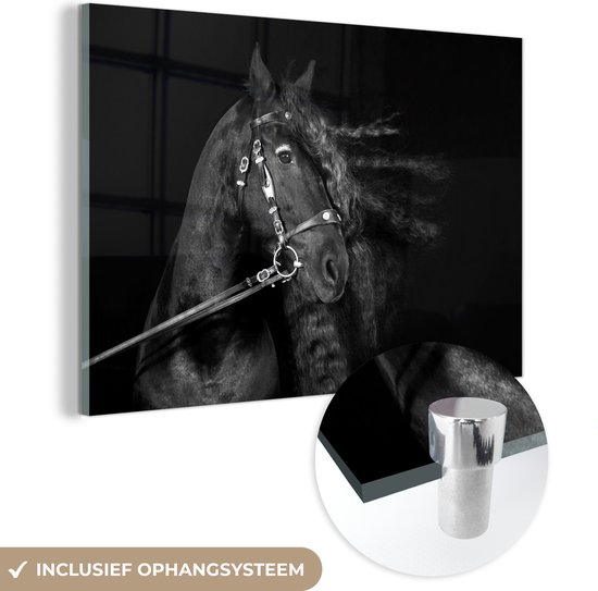 MuchoWow® Peinture sur Verre - Cheval - Licou - Crinière - 90x60 cm - Peintures sur Verre Acrylique - Photo sur Glas