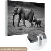 MuchoWow® Peinture sur verre - Enfant courant après sa mère éléphant - noir et blanc - 30x20 cm - Peintures sur verre acrylique - Photo sur Glas