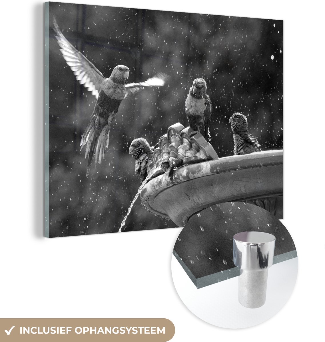 ® Glasschilderij 40x30 cm - Schilderij acrylglas - Fontein - Vogel - Water - Foto op glas