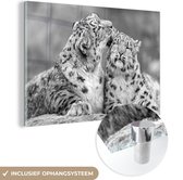 MuchoWow® Glasschilderij 180x120 cm - Schilderij acrylglas - Sneeuwluipaard die zijn kind likt - zwart wit - Foto op glas - Schilderijen