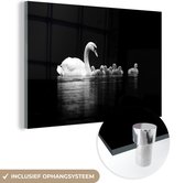 MuchoWow® Tableau en verre 150x100 cm - Peinture acrylique sur verre - Cygnes sur fond noir - noir blanc - Photo sur verre - Tableaux