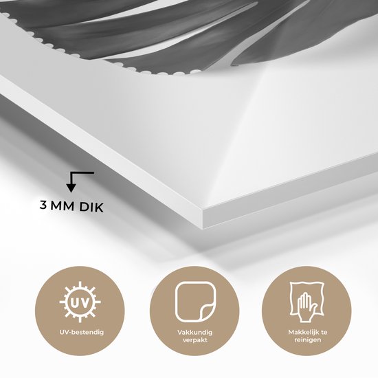 MuchoWow® Glasschilderij 50x50 cm - Schilderij acrylglas - Bijzonder geverfd monstera blad - zwart wit - Foto op glas - Schilderijen