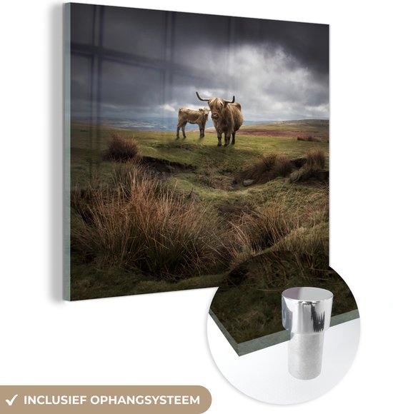 MuchoWow® Glasschilderij 20x20 cm - Schilderij acrylglas - Schotse Hooglander - Heide - Wolken - Foto op glas - Schilderijen