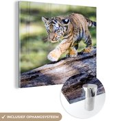 MuchoWow® Peinture sur verre - Jeune tigre marchant sur un tronc d'arbre - 50x50 cm - Peintures sur verre acrylique - Photo sur Glas