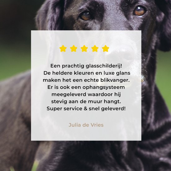 Un labrador noir dans l'herbe Plexiglas 120x80 cm - Tirage photo sur Glas (décoration murale plexiglas)