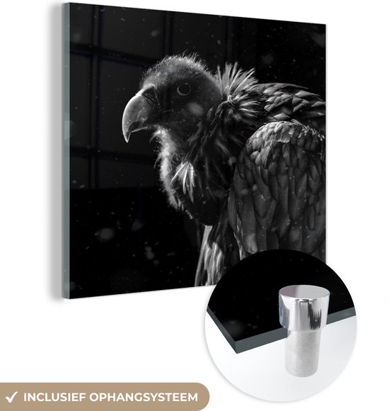 MuchoWow® Glasschilderij 20x20 cm - Schilderij acrylglas - Portret van een gouden gier tegen een zwarte achtergrond - zwart wit - Foto op glas - Schilderijen
