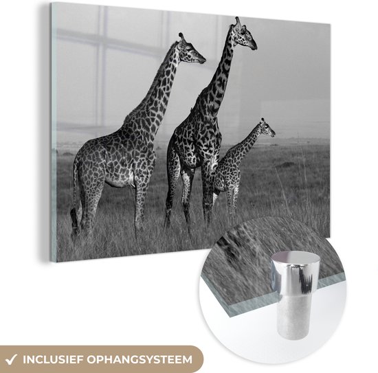 MuchoWow® Glasschilderij 120x80 cm - Schilderij acrylglas - Drie giraffen in Kenia - zwart wit - Foto op glas - Schilderijen