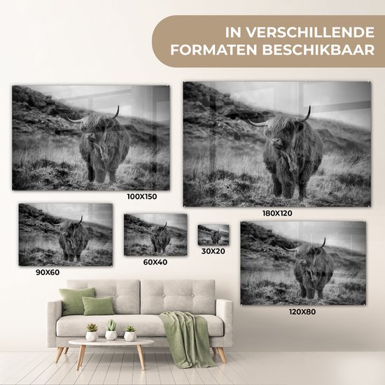 MuchoWow® Peinture sur verre 30x20 cm - Peinture acrylique sur verre - Highlander écossais sur une colline - noir et blanc - Photo sur verre - Peintures