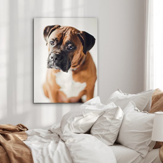 Un Boxer air triste Plexiglas 60x80 cm - Tirage photo sur Glas (décoration murale plexiglas)