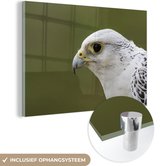 MuchoWow® Glasschilderij 120x80 cm - Schilderij acrylglas - Valk - Portret - Wit - Foto op glas - Schilderijen