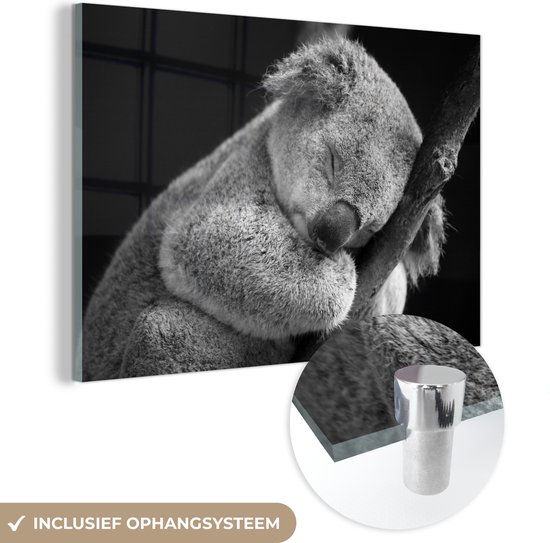 MuchoWow® Glasschilderij 90x60 cm - Schilderij acrylglas - Slapende koala op zwarte achtergrond in zwart-wit - Foto op glas - Schilderijen