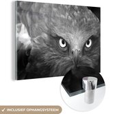 MuchoWow® Peinture sur verre 150x100 cm - Peinture sur verre acrylique - Aigle - Zwart - Wit - Photo sur verre - Peintures