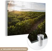 MuchoWow® Peinture sur verre 150x100 cm - Peinture acrylique sur verre - Ciel - Soleil - Vert - Photo sur verre - Peintures