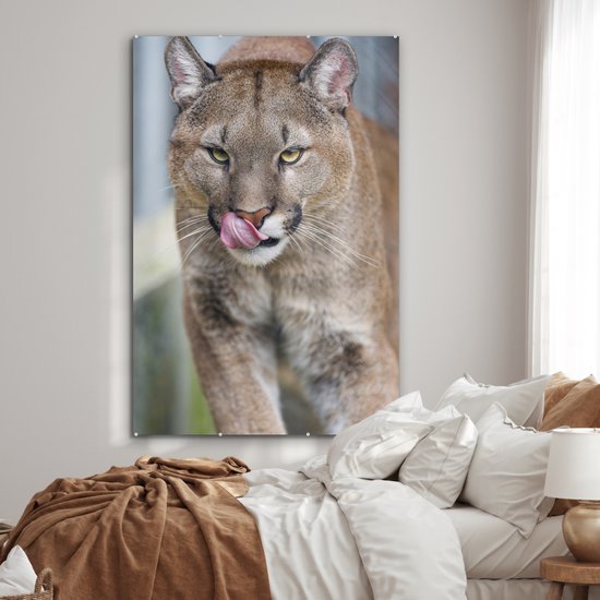 MuchoWow® Peinture sur verre 100x150 cm - Peinture sur verre acrylique - Puma qui marche - Photo sur verre - Peintures