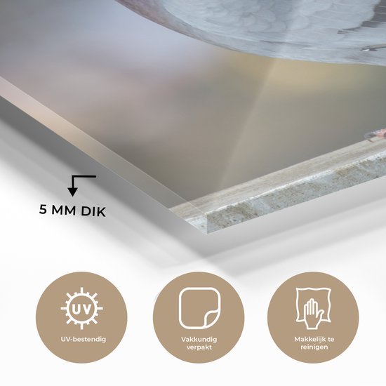 MuchoWow® Peinture sur verre 150x100 cm - Peinture sur verre acrylique - Duif - Vogel - Clôture - Photo sur verre - Peintures