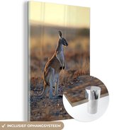 MuchoWow® Glasschilderij 100x150 cm - Schilderij acrylglas - Kangoeroe - Lucht - Landschap - Foto op glas - Schilderijen