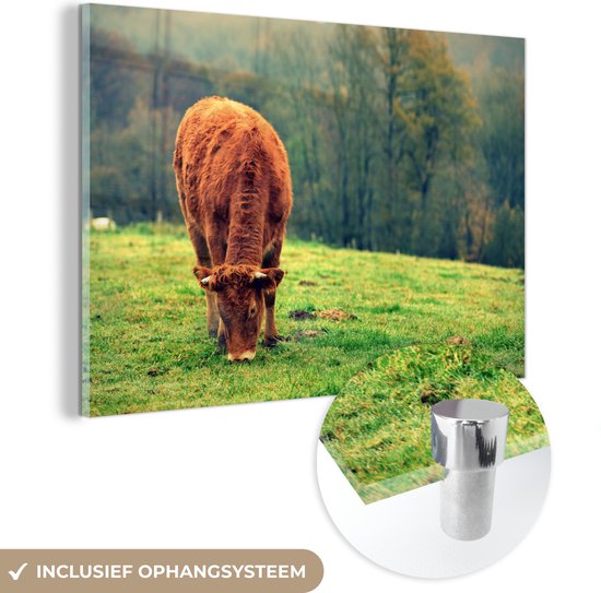 MuchoWow® Glasschilderij 150x100 cm - Schilderij acrylglas - Koe - Bruin - Boom - Natuur - Foto op glas - Schilderijen