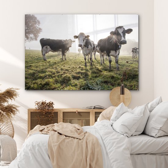 Peinture sur verre - Vaches - Lumière - Herbe - 180x120 cm - Peintures acryliques - Photo sur Glas