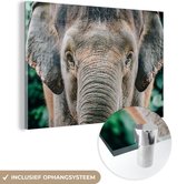 MuchoWow® Glasschilderij 120x80 cm - Schilderij acrylglas - Close-up olifant - Foto op glas - Schilderijen