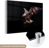 Peinture sur Verre - Aigle - Vogel - Ressorts - 150x100 cm - Peintures sur Verre Peintures - Photo sur Glas