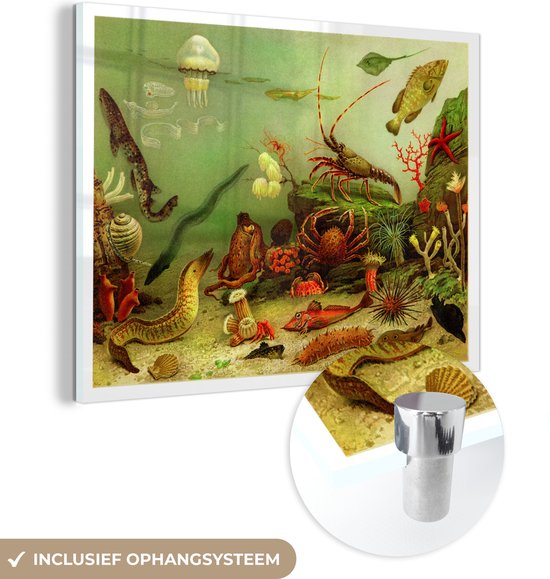 MuchoWow® Glasschilderij 160x120 cm - Schilderij acrylglas - Illustratie van een onderzees ecosysteem - Foto op glas - Schilderijen