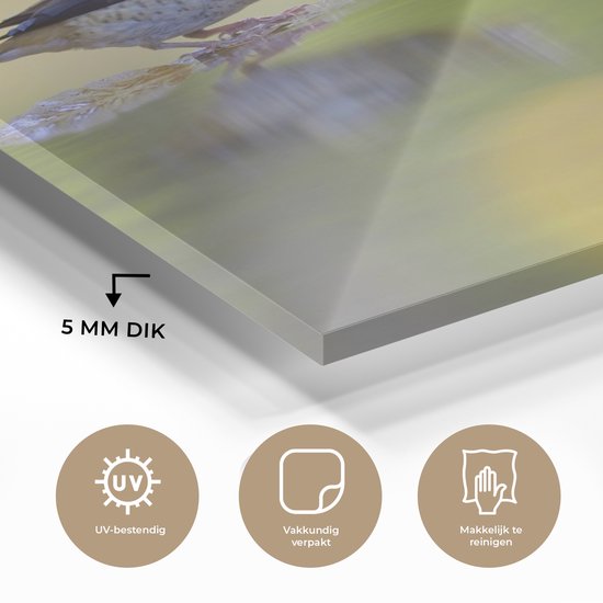 MuchoWow® Peinture sur verre 160x120 cm - Peinture sur verre acrylique - Bain d'oiseaux - Vogel - Water - Photo sur verre - Peintures