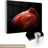 MuchoWow® Glasschilderij 180x120 cm - Schilderij acrylglas - Flamingo - Veren - Roze - Foto op glas - Schilderijen