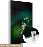 Peinture sur Verre - Gros Plan Papillon sur une Branche - 60x90 cm - Peintures sur Verre Peintures - Photo sur Glas