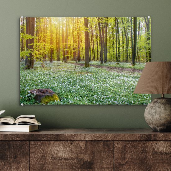 MuchoWow® Peinture sur verre 60x40 cm - Peinture acrylique sur verre - Forêt verte illuminée par des rayons de lumière - Photo sur verre - Peintures
