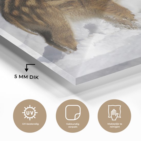 Peinture sur Verre - Sanglier - Animal - Neige - 150x100 cm - Peintures sur Verre Peintures - Photo sur Glas