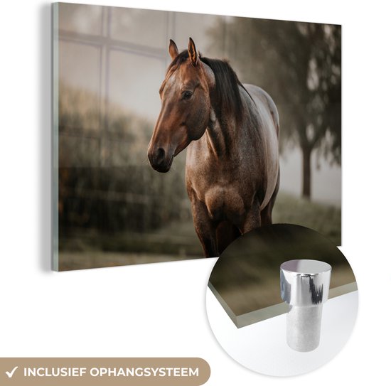 MuchoWow® Glasschilderij 120x80 cm - Schilderij acrylglas - Paard - Licht - Bos - Foto op glas - Schilderijen