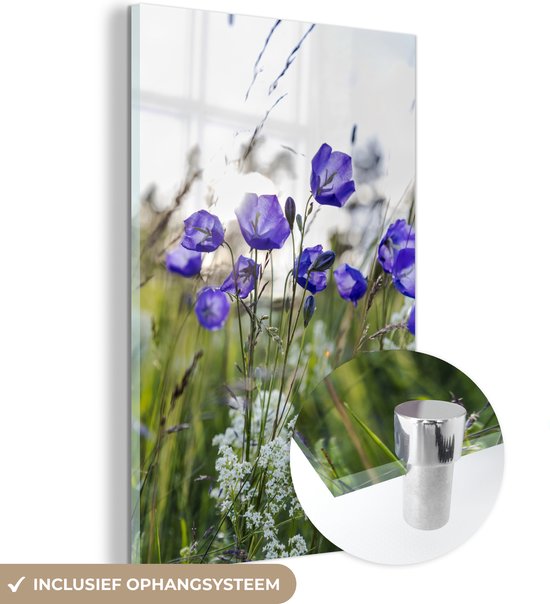 MuchoWow® Glasschilderij 100x150 cm - Schilderij acrylglas - Campanula's in veld met wilde bloemen - Foto op glas - Schilderijen