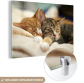 MuchoWow® Glasschilderij 30x20 cm - Schilderij acrylglas - Katten - Slapen - Kleed - Foto op glas - Schilderijen