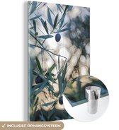 MuchoWow® Glasschilderij 40x60 cm - Schilderij acrylglas - Olijven in een olijfboom - Foto op glas - Schilderijen